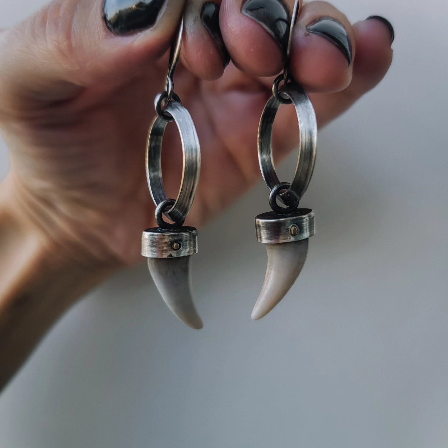 Coyote Tooth Earrings